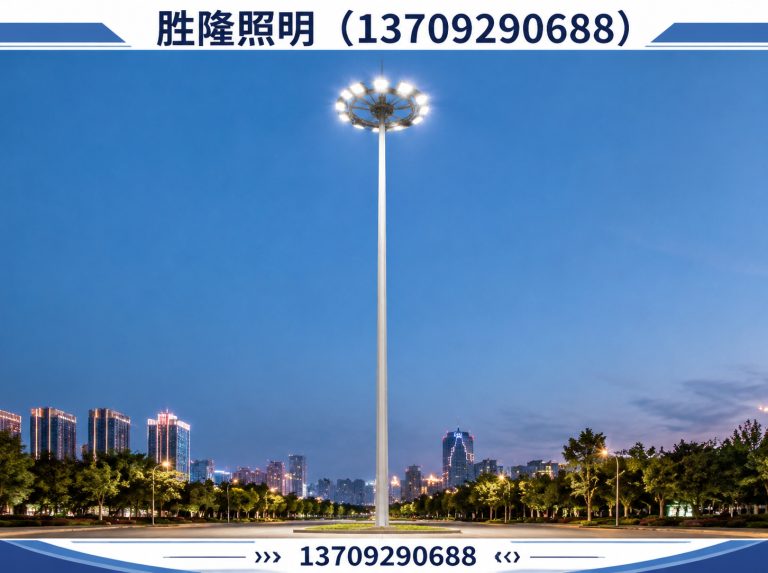 新城区高杆灯展示图