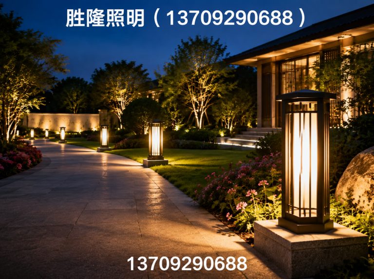 新城区胜隆照明展示图